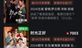 茜茜爆料视频大全集播放,揭秘娱乐圈幕后真相